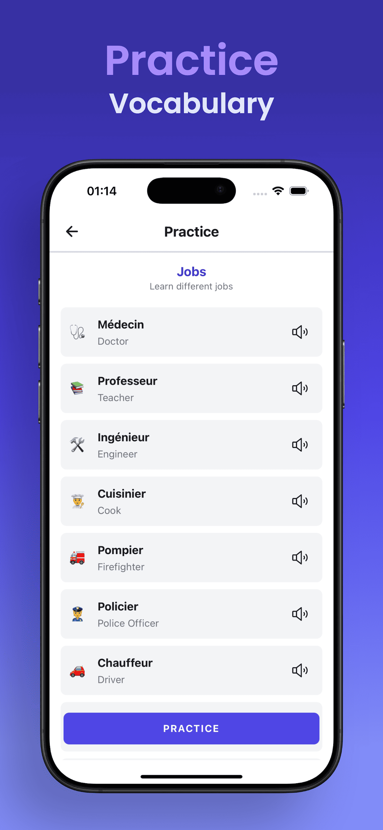 French vocabulary practice